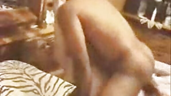 ایک بالوں والی بلی والی لڑکی ایک جوڑے کے ساتھ ہے ، ایک تھریسوم کر رہی ہے۔